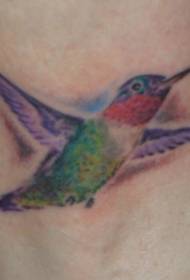 手臂彩色小蜂鸟飞行纹身图片