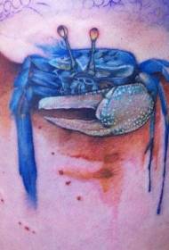 Kepiting biru ngadeg ing pantai kanthi pola tato