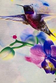 Akvarelės dažų rašalo realus kolibrio gėlių tatuiruotės modelio rankraštis