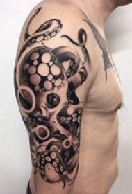 Ti gason bra sou nwa Grey trase Sting Konsèy Creative Octopus Tattoo Foto