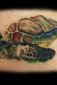 Vidukļa krāsa izskatās glīta bruņurupuča tetovējuma shēma