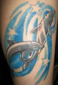 Two dolphins dotted with stars on a blue wave
