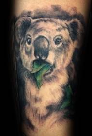Gražus natūralus koala lokys su lapų tatuiruotės modeliu