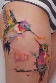 Colore d'acqua di gamba dui mudelli di tatuaggi di colibrisi