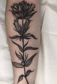 Appréciation de tatouage de plante noire de l'artiste de tatouage de Chicago