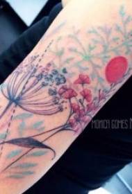 Augalų tatuiruotės modelis 10 gražių ir šviežių augalų tatuiruotės piešinių