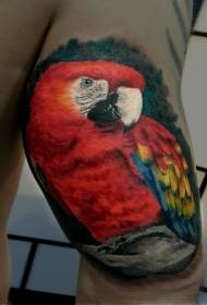 Realistic style realistic color parrot tattoo pattern