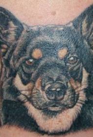 Shepherd color tattoo pattern