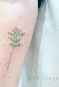 Plant Tattoo Patterns Multi-painted tattoo creative and small fresh tattoo plant motifs