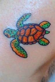 Arm color small turtle tattoo pattern