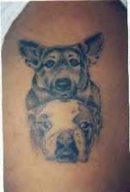 Paimenkoira ja bulldog pää tatuointi malli