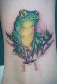 Patron de tatouage de grenouille verte super réaliste