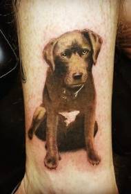 Söpö realistinen väri koiran tatuointikuvio