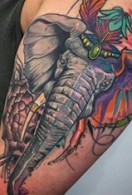 男生手臂上彩绘水彩素描创意精美大象纹身图片