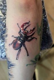 小臂彩色写实逼真的昆虫纹身图案