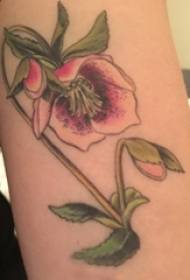 Girls thighs painted gradient simple lines plant literary flower tattoo pictures