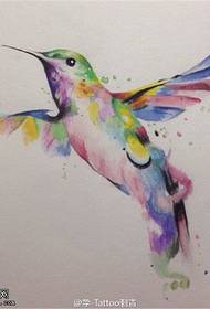 Color splashing hummingbird tattoo manuscript pattern