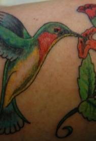 Arm color hummingbird with flower tattoo pattern