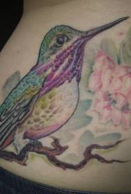 Waist color hummingbird with flower tattoo pattern