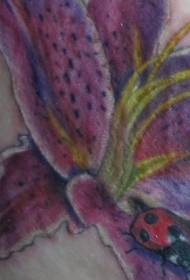 Shoulder color lily pattern with ladybug tattoo pattern