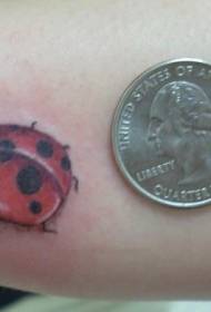 Spalvotas mažos „ladybug“ tatuiruotės raštas
