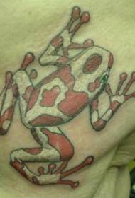 Male leg color frog tattoo pattern