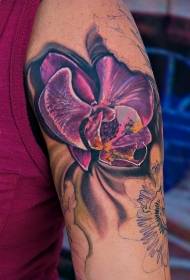 腕の明るく現実的な紫胡蝶蘭のタトゥーパターン