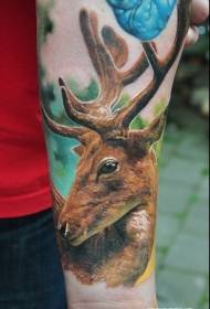 arm very beautiful beautiful color realistic deer tattoo pattern