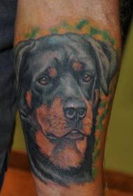 arm green background and realistic Rottweiler tattoo pattern