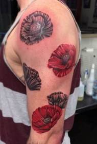 arm realistic color) Poppy Tattoo Pattern