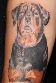 arm kleurvolle Rottweiler tatoeëringspatroon