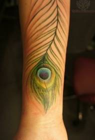 Rankos plonos žalios povo plunksnos tatuiruotės modelis