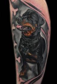 ramię kolorowy wzór tatuażu Rottweiler