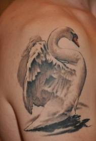 Beautiful white swan tattoo pattern on the arm