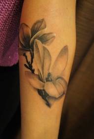 arm gentle black and white magnolia tattoo pattern