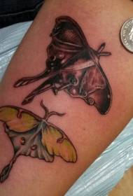two colorful moth tattoo designs on the arm