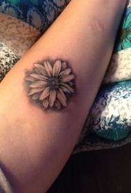 arm simple small daisy flower tattoo pattern