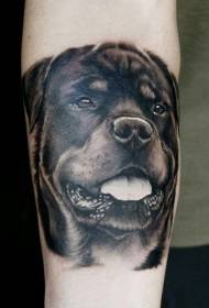 Realistic black and white Rottweiler head portrait arm tattoo pattern