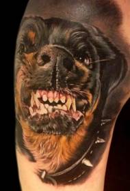 Patrón de tatuaxe de Rottweiler de cor enojado do brazo 13442 - patrón de tatuaxe en cor de lemura e sandía