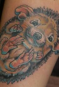 frumoasă culoare drăguț mic model de tatuaj braț arici