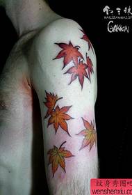Male arm beautiful and popular maple leaf tattoo pattern