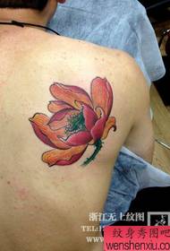 Vīriešu pleci jauki izskatās krāsainā lotosa tetovējuma rakstā