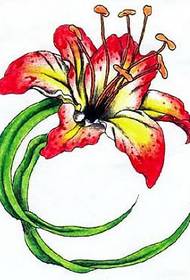 Patrón de tatuaje floral: Cadro de tatuaje de lírio colorido