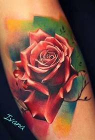 Tattoo 520 galerii: värviline realistlik rosett-tätoveeringu muster