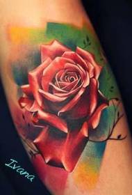 Tattoo 520 Gallery: Color Realistic Rosette Tattoo Pattern