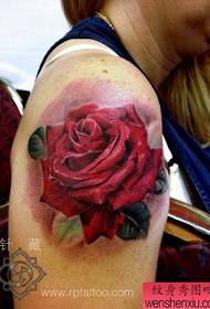 手臂美麗的流行色玫瑰紋身圖案