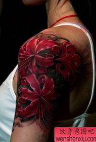 Rankos tatuiruotės modelis: „Beauty Arms Bianhua“ gėlių tatuiruotės modelio paveikslėlis