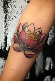 Meitene ar rokām apgleznota skice radoša skaista lotosa tetovējuma bilde
