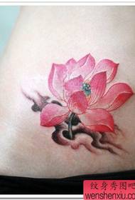 Lotus Tattoo-Skemo: Abdomenkoloro Lotus-Tatuaje-Tatuaje-Bildo