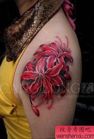 Girl arm popular beautiful Bianhua flower tattoo pattern